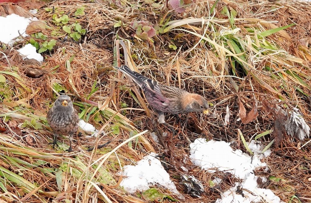 画像に alt 属性が指定されていません。ファイル名: DSC09074-1024x670-1.jpg